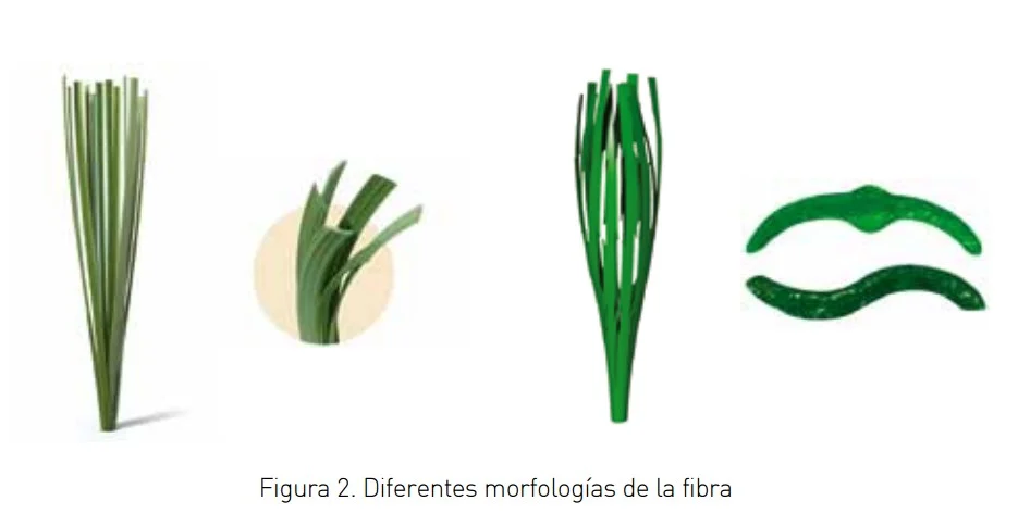 Diferentes morfologías de fibra para canchas de pádel en material sintético, presentadas en varias formas