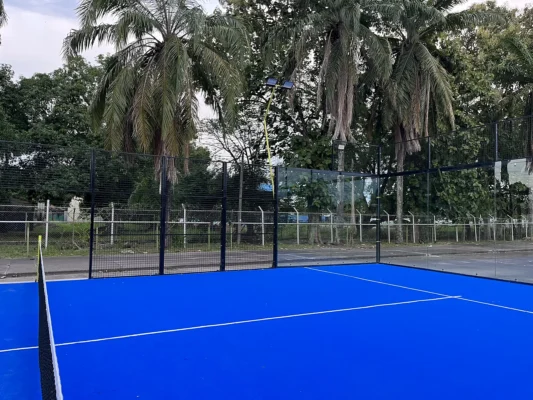 Césped sintético y líneas de juego de la cancha de pádel de Club de Pádel Puerto Boyacá en Puerto Boyacá (1 de 2)